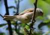 Filename=207_fotowilga~20.JPG
Filesize=73KB
Dimensions=640x457
Date added=Jul 03, 2016 207_fotowilga~20.JPG