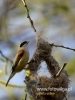 Filename=209_fotowilga~31.JPG
Filesize=58KB
Dimensions=360x480
Date added=Apr 10, 2017 209_fotowilga~31.JPG