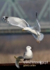 Filename=211_fotowilga~19.JPG
Filesize=61KB
Dimensions=343x480
Date added=May 16, 2016 211_fotowilga~19.JPG