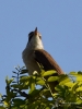 Filename=211_fotowilga~50.JPG
Filesize=248KB
Dimensions=525x700
Date added=Jun 17, 2019 211_fotowilga~50.JPG