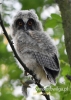 Filename=212_fotowilga~29.JPG
Filesize=66KB
Dimensions=343x480
Date added=Jul 10, 2016 212_fotowilga~29.JPG