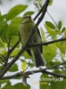 Filename=212_fotowilga~37.JPG
Filesize=83KB
Dimensions=357x480
Date added=Mar 02, 2017 212_fotowilga~37.JPG