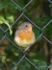 Filename=212_fotowilga~55.JPG
Filesize=279KB
Dimensions=525x700
Date added=Sep 11, 2019 212_fotowilga~55.JPG