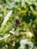 Filename=212_fotowilga~59.JPG
Filesize=230KB
Dimensions=525x700
Date added=Nov 22, 2019 212_fotowilga~59.JPG