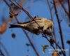 Filename=213_fotowilga~31.JPG
Filesize=70KB
Dimensions=600x480
Date added=Nov 25, 2016 213_fotowilga~31.JPG