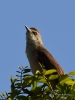 Filename=213_fotowilga~51.JPG
Filesize=221KB
Dimensions=525x700
Date added=Jun 09, 2019 213_fotowilga~51.JPG
