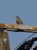 Filename=213_fotowilga~52.JPG
Filesize=207KB
Dimensions=525x700
Date added=Jun 28, 2019 213_fotowilga~52.JPG