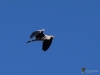 Filename=213_fotowilga~57.JPG
Filesize=235KB
Dimensions=700x525
Date added=Dec 03, 2019 213_fotowilga~57.JPG