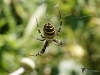 Filename=214_fotowilga~55.JPG
Filesize=240KB
Dimensions=700x525
Date added=Nov 22, 2019 214_fotowilga~55.JPG