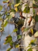 Filename=215_fotowilga~24.JPG
Filesize=86KB
Dimensions=360x480
Date added=Mar 08, 2016 215_fotowilga~24.JPG