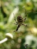 Filename=215_fotowilga~57.JPG
Filesize=226KB
Dimensions=525x700
Date added=Nov 22, 2019 215_fotowilga~57.JPG