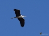 Filename=215_fotowilga~58.JPG
Filesize=206KB
Dimensions=700x525
Date added=Dec 03, 2019 215_fotowilga~58.JPG