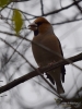Filename=215_fotowilga~59.JPG
Filesize=219KB
Dimensions=525x700
Date added=Dec 15, 2019 215_fotowilga~59.JPG