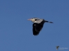 Filename=216_fotowilga~45.JPG
Filesize=182KB
Dimensions=700x525
Date added=Oct 30, 2018 216_fotowilga~45.JPG