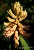 Filename=216_fotowilga~50.JPG
Filesize=219KB
Dimensions=472x700
Date added=Jul 10, 2019 216_fotowilga~50.JPG