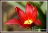Filename=218_fotowilga~2.JPG
Filesize=111KB
Dimensions=720x494
Date added=Jan 25, 2013 218_fotowilga~2.JPG