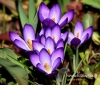 219_fotowilga~32.JPG
