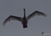 Filename=219_fotowilga~47.JPG
Filesize=152KB
Dimensions=700x500
Date added=Feb 12, 2018 219_fotowilga~47.JPG