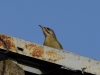 Filename=219_fotowilga~54.JPG
Filesize=194KB
Dimensions=700x525
Date added=Jul 03, 2019 219_fotowilga~54.JPG
