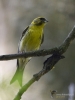 Filename=220_fotowilga~32.JPG
Filesize=246KB
Dimensions=525x700
Date added=Mar 03, 2019 220_fotowilga~32.JPG