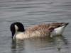 Filename=220_fotowilga~48.JPG
Filesize=239KB
Dimensions=700x525
Date added=Nov 10, 2019 220_fotowilga~48.JPG