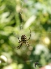 Filename=220_fotowilga~49.JPG
Filesize=214KB
Dimensions=525x700
Date added=Nov 23, 2019 220_fotowilga~49.JPG