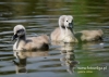 Filename=221_fotowilga~22.JPG
Filesize=80KB
Dimensions=640x457
Date added=Jun 13, 2016 221_fotowilga~22.JPG