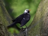 Filename=221_fotowilga~40.JPG
Filesize=298KB
Dimensions=700x525
Date added=Apr 25, 2018 221_fotowilga~40.JPG