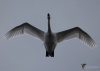 Filename=221_fotowilga~51.JPG
Filesize=156KB
Dimensions=700x500
Date added=Apr 12, 2019 221_fotowilga~51.JPG