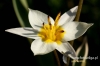 Filename=222_fotowilga~33.JPG
Filesize=74KB
Dimensions=640x427
Date added=Feb 20, 2017 222_fotowilga~33.JPG