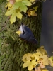 Filename=222_fotowilga~44.JPG
Filesize=291KB
Dimensions=525x700
Date added=Dec 01, 2017 222_fotowilga~44.JPG