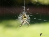 Filename=222_fotowilga~54.JPG
Filesize=227KB
Dimensions=700x525
Date added=Nov 23, 2019 222_fotowilga~54.JPG