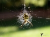 Filename=223_fotowilga~49.JPG
Filesize=258KB
Dimensions=700x525
Date added=Nov 22, 2019 223_fotowilga~49.JPG