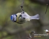 Filename=225_fotowilga~21.JPG
Filesize=61KB
Dimensions=600x480
Date added=May 06, 2016 225_fotowilga~21.JPG