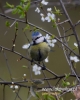 Filename=226_fotowilga~23.JPG
Filesize=59KB
Dimensions=384x480
Date added=Aug 01, 2016 226_fotowilga~23.JPG