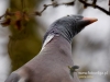 Filename=226_fotowilga~28.JPG
Filesize=70KB
Dimensions=640x480
Date added=Mar 30, 2017 226_fotowilga~28.JPG