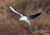Filename=227__fotowilga.JPG
Filesize=79KB
Dimensions=640x457
Date added=May 05, 2016 227__fotowilga.JPG