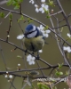 Filename=227_fotowilga~14.JPG
Filesize=58KB
Dimensions=384x480
Date added=May 07, 2016 227_fotowilga~14.JPG
