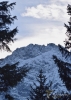 Filename=227_fotowilga~39.JPG
Filesize=293KB
Dimensions=501x700
Date added=Jun 19, 2019 227_fotowilga~39.JPG