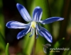 Filename=228_fotowilga~27.JPG
Filesize=79KB
Dimensions=610x480
Date added=Mar 21, 2017 228_fotowilga~27.JPG