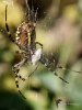 Filename=228_fotowilga~50.JPG
Filesize=244KB
Dimensions=525x700
Date added=Nov 23, 2019 228_fotowilga~50.JPG