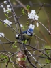 Filename=229_fotowilga~27.JPG
Filesize=272KB
Dimensions=525x700
Date added=Apr 20, 2017 229_fotowilga~27.JPG