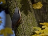 Filename=229_fotowilga~38.JPG
Filesize=267KB
Dimensions=700x525
Date added=Jan 04, 2018 229_fotowilga~38.JPG