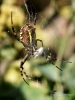 Filename=230_fotowilga~49.JPG
Filesize=242KB
Dimensions=525x700
Date added=Nov 22, 2019 230_fotowilga~49.JPG