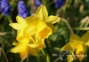 Filename=230_fotowilga~9.JPG
Filesize=109KB
Dimensions=720x508
Date added=May 16, 2014 230_fotowilga~9.JPG