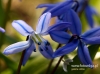 Filename=231_fotowilga~32.JPG
Filesize=87KB
Dimensions=640x475
Date added=Mar 21, 2017 231_fotowilga~32.JPG