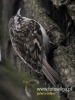 Filename=231_fotowilga~43.JPG
Filesize=81KB
Dimensions=360x480
Date added=Nov 04, 2017 231_fotowilga~43.JPG