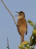 Filename=231_fotowilga~50.JPG
Filesize=208KB
Dimensions=525x700
Date added=May 02, 2018 231_fotowilga~50.JPG