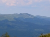 Filename=232_fotowilga~53.JPG
Filesize=207KB
Dimensions=700x525
Date added=Jan 05, 2019 232_fotowilga~53.JPG