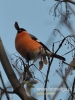 Filename=233_fotowilga~6.JPG
Filesize=84KB
Dimensions=360x480
Date added=Mar 15, 2015 233_fotowilga~6.JPG